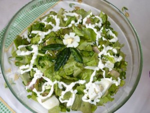 zelenyj-salat-s-yajcami-i-ogurcom_9469[1]