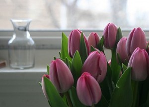 Оживите воздух в квартире ароматом свежих цветов